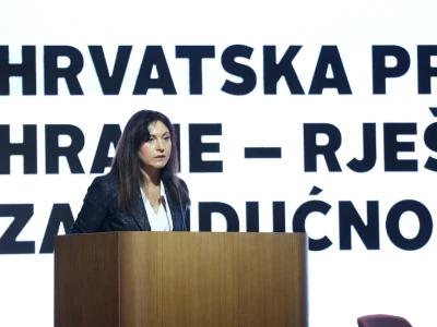 Kako smanjiti ovisnost o uvozu i stvoriti temelje za snažnije domaću proizvodnje?