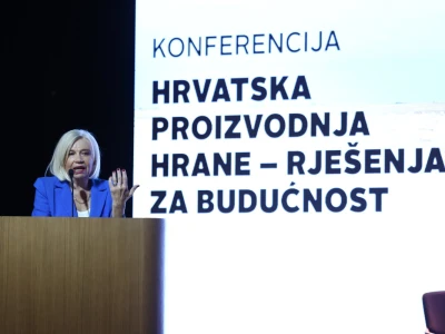 Kako smanjiti ovisnost o uvozu i stvoriti temelje za snažnije domaću proizvodnje?