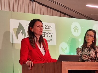 Konferencija Zapadni Balkan u energetskoj krizi