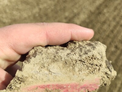 Kongskilde Germinator Pro sjetvospremač