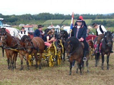Natjecanje u oranju Natjecanje u oranju