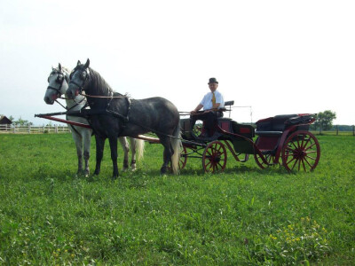Nikola Drobnjak sa svoja dva konja