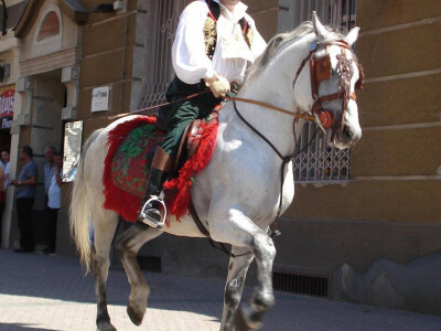 Na Đakovačkim vezovima