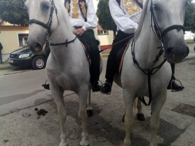 Nasljednici Nikole Drobnjaka