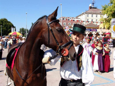 Najmlađi član obitelji Drobnjak - Branimir, na Vinkovačkim jesenima