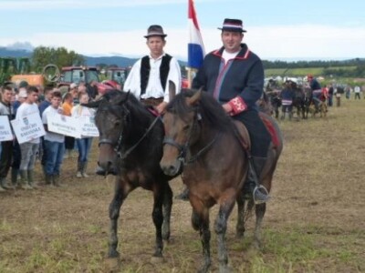 Natjecanje u oranju s konjima Natjecanje u oranju s konjima