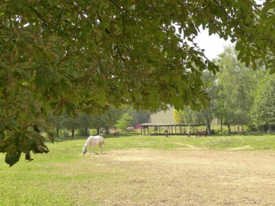 Otvorena vrata konjičkog kluba Visoko