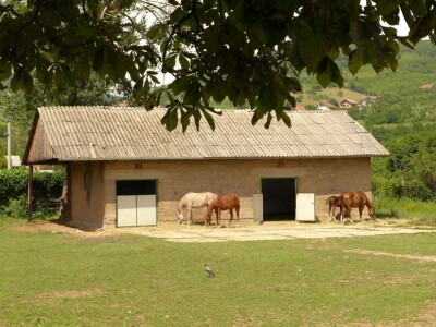 Otvorena vrata konjičkog kluba Visoko