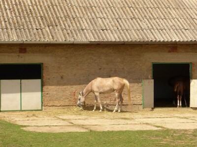 Otvorena vrata konjičkog kluba Visoko