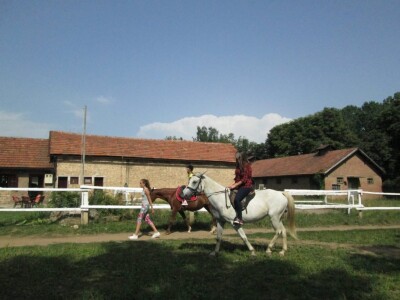 Otvorena vrata konjičkog kluba Visoko