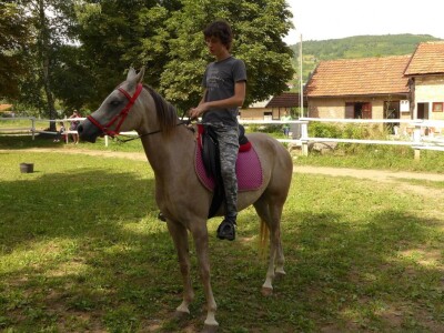 Otvorena vrata konjičkog kluba Visoko