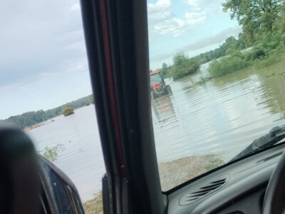 Konji zarobljeni u Odranskom polju