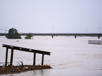 Konji zarobljeni u Odranskom polju