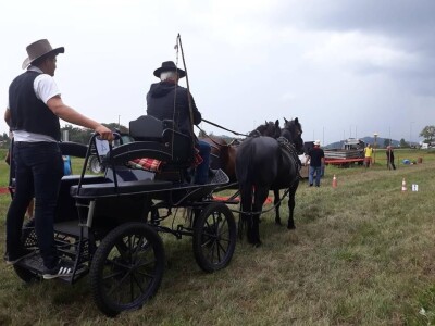 Konjičke igre u Svetom Križu Začretju Konjičke igre u Svetom Križu Začretju