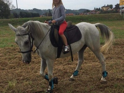 Konjičke igre u Svetom Križu Začretju Konjičke igre u Svetom Križu Začretju