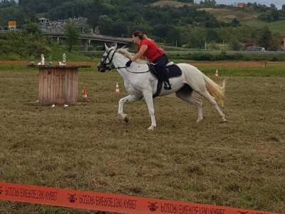 Konjičke igre u Svetom Križu Začretju Konjičke igre u Svetom Križu Začretju