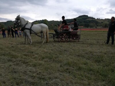 Konjičke igre u Svetom Križu Začretju Konjičke igre u Svetom Križu Začretju