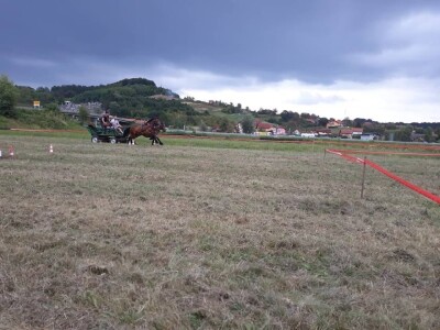 Konjičke igre u Svetom Križu Začretju Konjičke igre u Svetom Križu Začretju