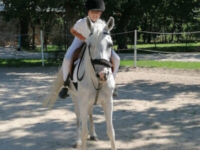 Konjički klub Stina