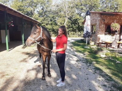 Konjički klub Stina