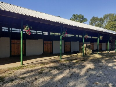 Konjički klub Stina