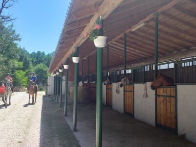 Konjički klub "Stina" vode tri sestre