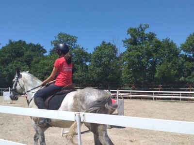 Konjički klub "Stina" vode tri sestre