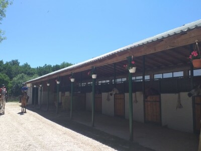 Konjički klub "Stina" vode tri sestre