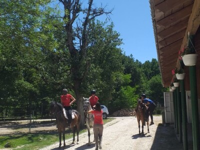 Konjički klub "Stina" vode tri sestre