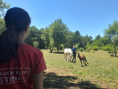Konjički klub "Stina" vode tri sestre