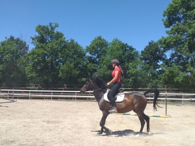 Konjički klub "Stina" vode tri sestre