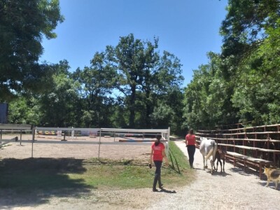 Konjički klub "Stina" vode tri sestre