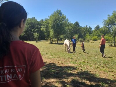 Konjički klub "Stina" vode tri sestre
