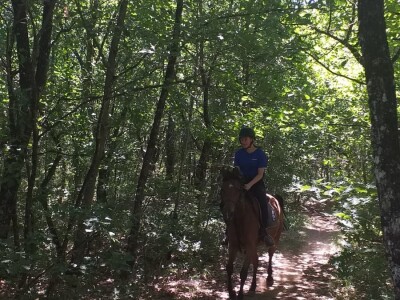 Konjički klub "Stina" vode tri sestre