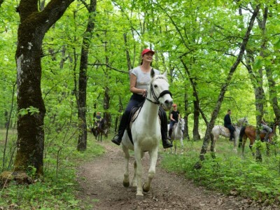 Konjički klub "Stina" vode tri sestre
