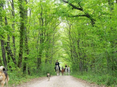 Konjički klub "Stina" vode tri sestre