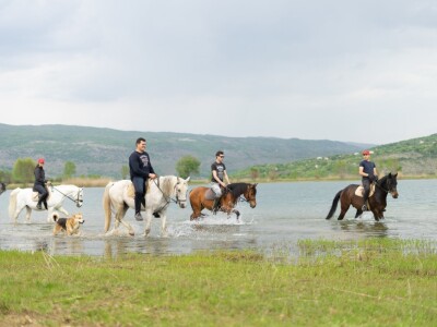 Konjički klub "Stina" vode tri sestre