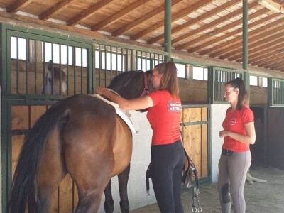 Konjički klub "Stina" vode tri sestre