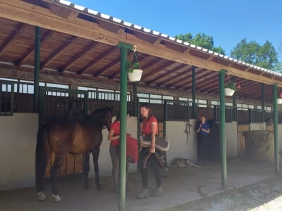 Konjički klub "Stina" vode tri sestre
