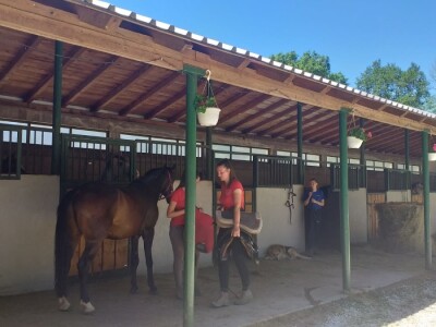 Konjički klub "Stina" vode tri sestre