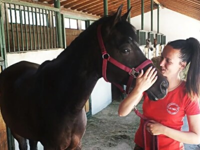 Konjički klub "Stina" vode tri sestre