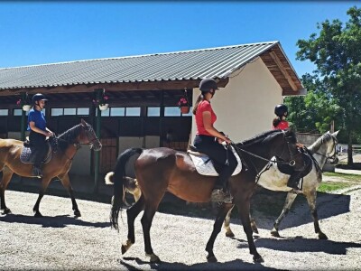 Konjički klub "Stina" vode tri sestre