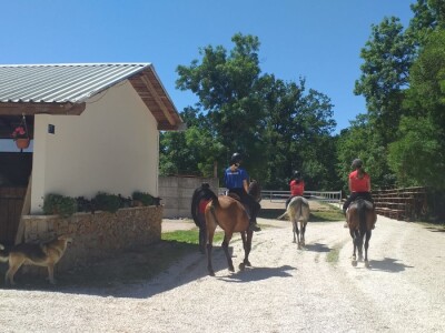 Konjički klub "Stina" vode tri sestre