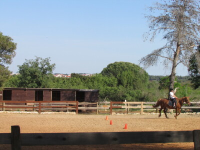 Konjički klub Wild Spirit