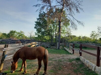 Konjički klub Wild Spirit
