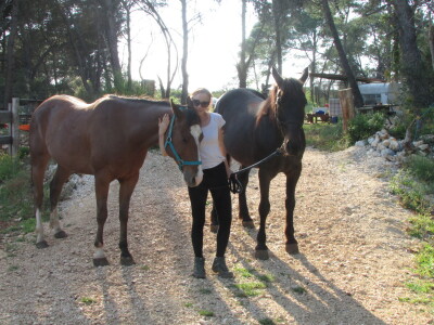 Konjički klub Wild Spirit