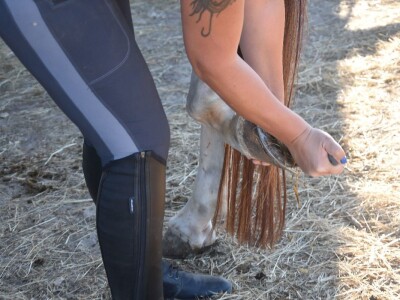 Konjički klub Zadar