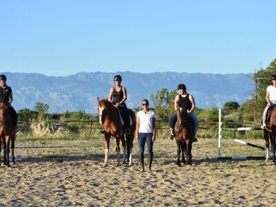 Konjički klub Zadar