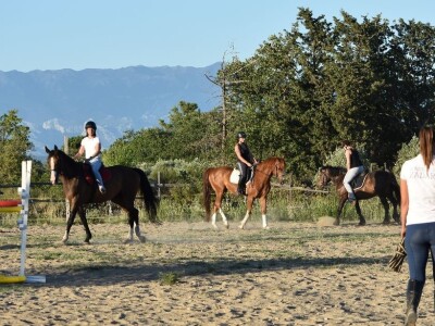 Konjički klub Zadar