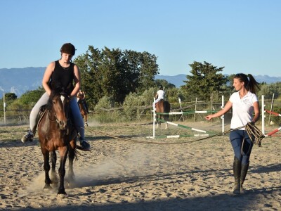 Konjički klub Zadar